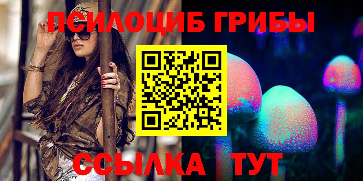 Новочеркасск  Псилоцибиновые грибы Psilocybine cubensis  Вход с VPN  Псилоцибиновые грибы Psilocybe 
